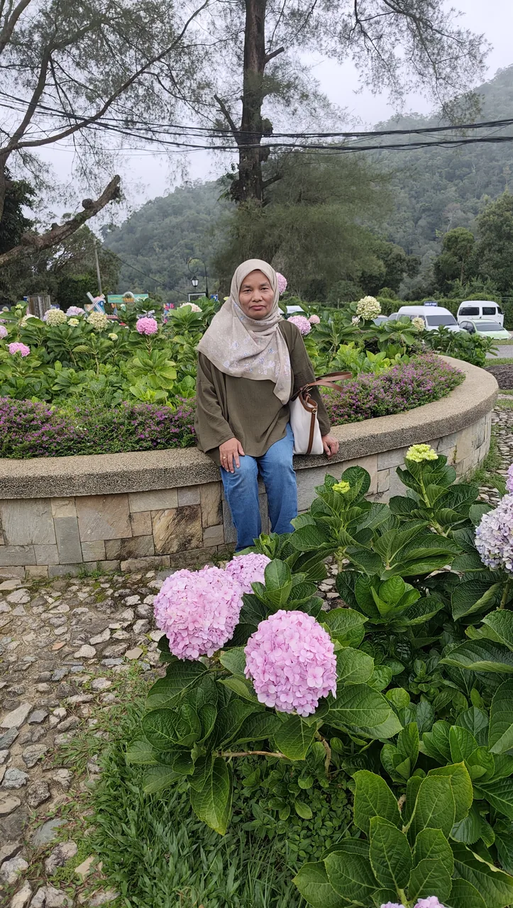 Post image by halim